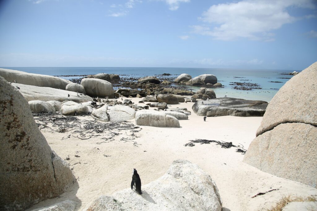 beautiful beaches in africa